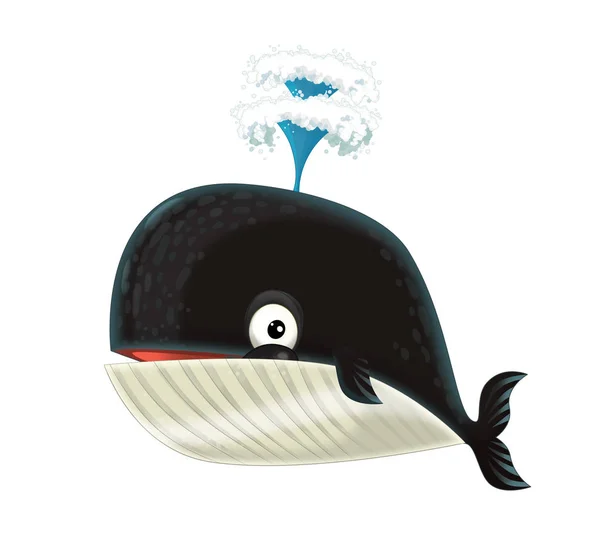 Cartoon Gelukkig Grappig Zee Walvis Sproeien Water Witte Achtergrond Illustratie — Stockfoto