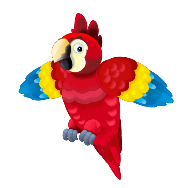 Cartoon Parrot White Background Illustration Children — Stock Photo, Image