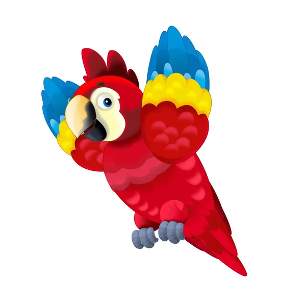 Cartoon Parrot White Background Illustration Children — Stock Photo, Image