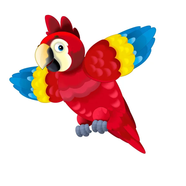 Cartoon Papagei Auf Weißem Hintergrund Illustration Für Kinder — Stockfoto
