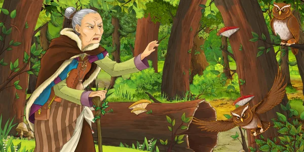 cartoon scene with happy old woman witch sorceress in the forest encountering pair of owls flying - illustration for children