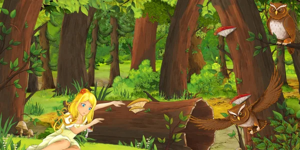 Scena Kreskówki Szczęśliwą Młodą Dziewczyną Lesie Napotykają Parę Sowy Latający — Zdjęcie stockowe