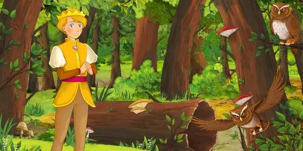 卡通场景与快乐的小男孩王子在森林遇到一对猫头鹰飞 插图为儿童 — 图库照片