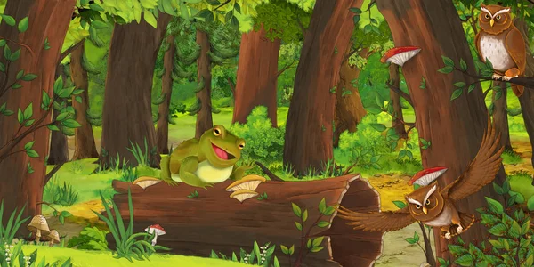 Zeichentrickszene Mit Fröhlichem Frosch Wald Der Einem Eulenpaar Beim Fliegen — Stockfoto