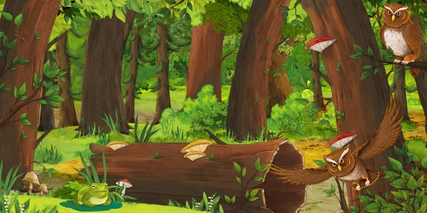 卡通场景与快乐的青蛙在森林中遇到一对猫头鹰飞 插图为儿童 — 图库照片