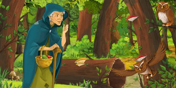 Kreslená Scéna Šťastnou Stařenkou Čarodějnicí Lese Která Setkala Dvojicí Sovy — Stock fotografie