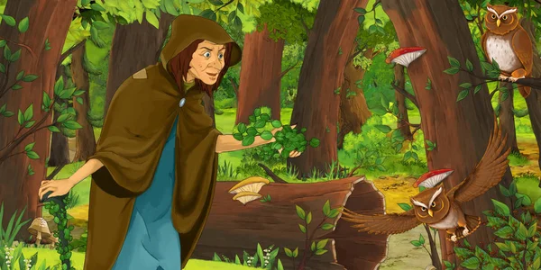 cartoon scene with happy old woman witch sorceress in the forest encountering pair of owls flying - illustration for children