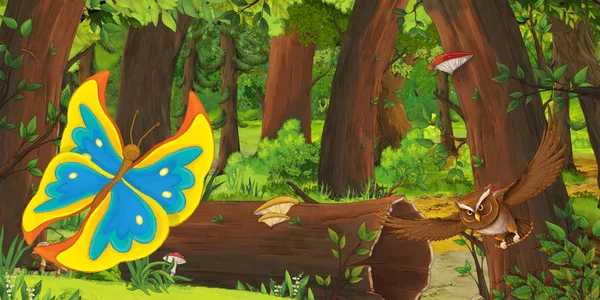 Cartoon-Sommerszene mit tiefem Wald und Vogeleule und Schmetterling - niemand vor Ort - Illustration für Kinder — Stockfoto