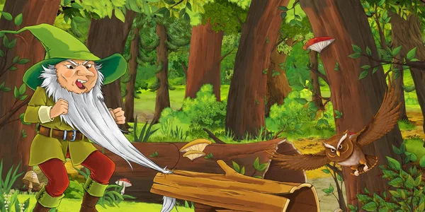 フクロウのペアに遭遇する森の中で幸せな少年ドワーフ王子と漫画のシーン - 子供のためのイラスト — ストック写真