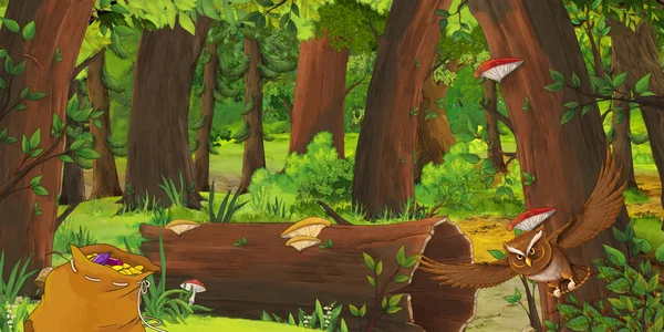 Kreslená letní scéna s hlubokým lesem, ptačí Soví a pytel s poklady-nikdo na scéně-ilustrace pro děti — Stock fotografie