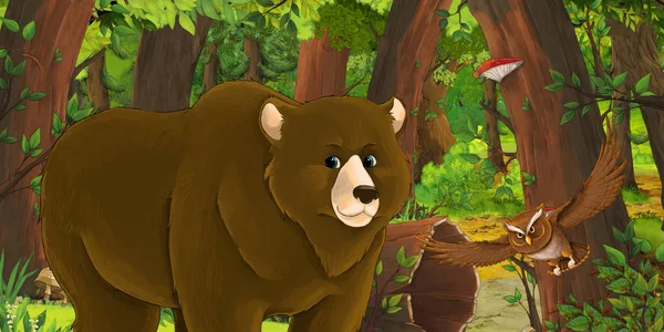 Scena estiva dei cartoni animati con foresta profonda e uccello gufo e orso - nessuno sulla scena - illustrazione per bambini — Foto Stock