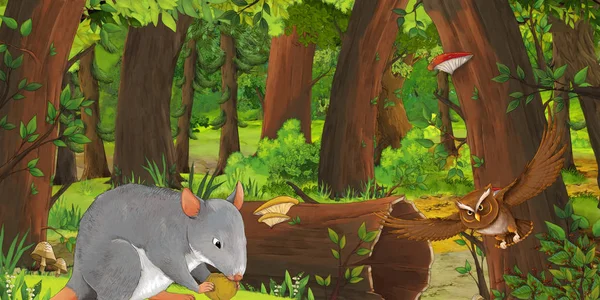 Scena estiva dei cartoni animati con foresta profonda e uccello gufo e ratto - nessuno sulla scena - illustrazione per bambini — Foto Stock