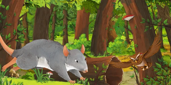 Kreslená letní scéna s hlubokým lesem, ptačí Soví a krysou-nikdo na scéně-ilustrace pro děti — Stock fotografie