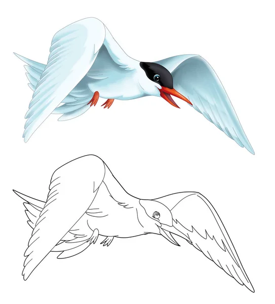 Мультфильм сцена с летающей птичьей крачкой изолированы на белом фоне с цветной страницы набросок иллюстрации для детей — стоковое фото