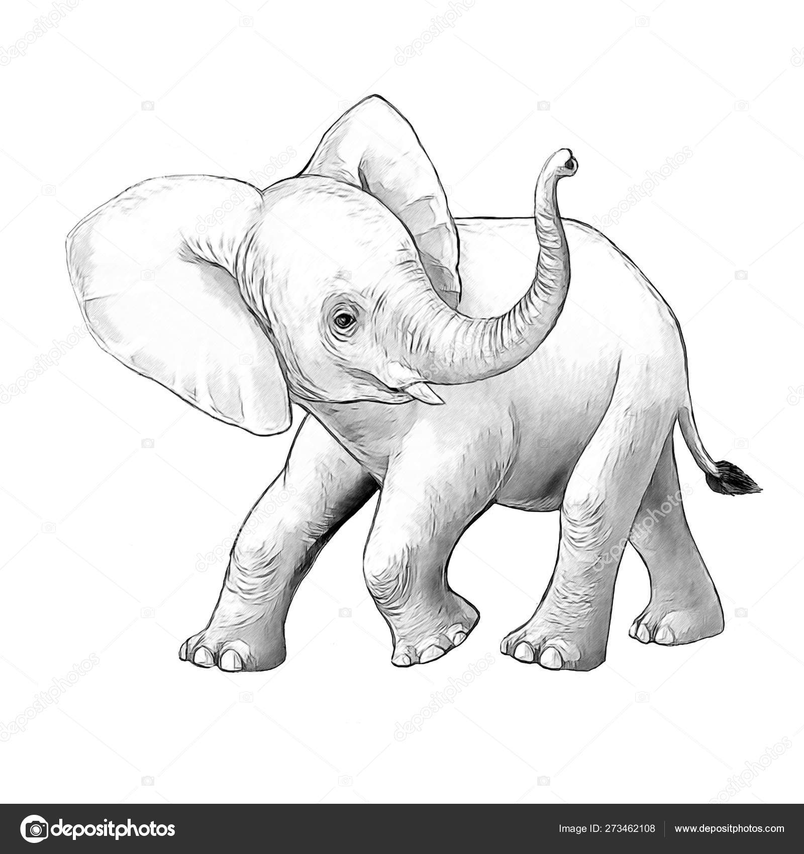 Scène de dessin animé avec petit éléphant sur fond blanc safari coloriage  illustration de carnet de croquis pour enfants — Illustration de stock par  ©illustrator_hft - 273462108, image size:1600x1700