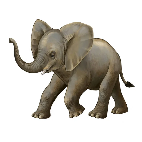 Scène de dessin animé avec petit éléphant sur fond blanc safari illustration pour enfants — Photo