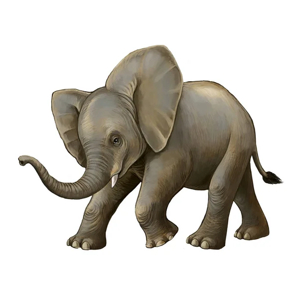 Scène de dessin animé avec petit éléphant sur fond blanc safari illustration pour enfants — Photo