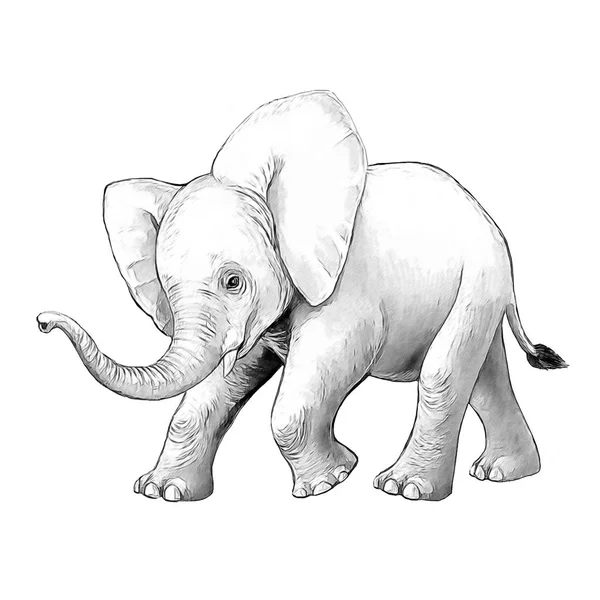 Tecknad scen med Little Elephant på vit bakgrund Safari målarbok Sketchbook illustration för barn — Stockfoto