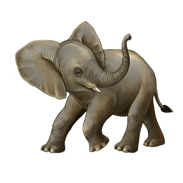 卡通场景与小大象的白色背景野生动物园插图为儿童 — 图库照片