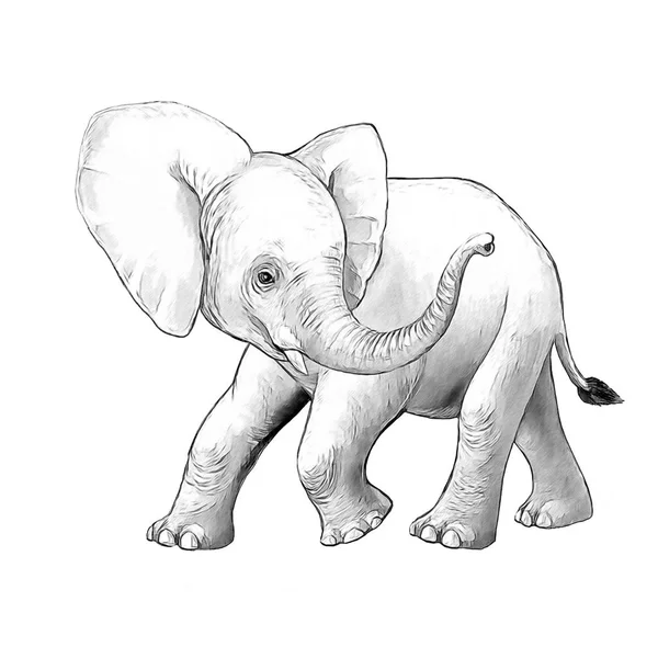 Escena de dibujos animados con pequeño elefante sobre fondo blanco safari página para colorear libro de bocetos ilustración para niños —  Fotos de Stock