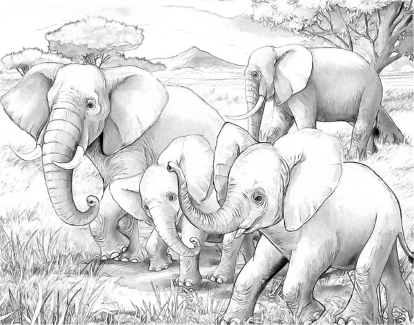 卡通场景与大象家庭野生动物园女巫着色页素描本插图为儿童 — 图库照片