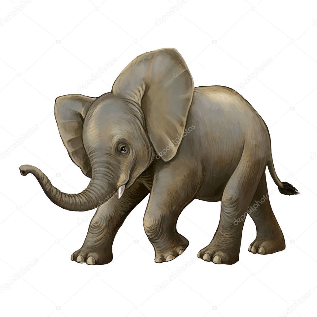 cartoon scene with little elephant on white background safari illustration for children