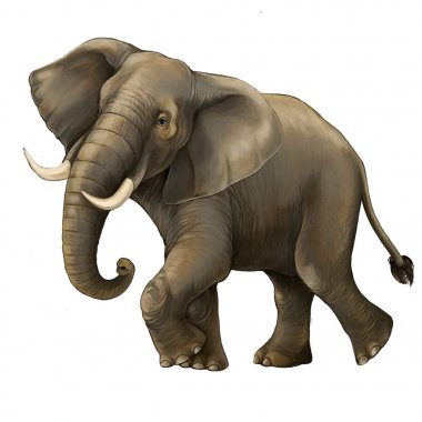 cartoon scene with big elephant on white background safari illustration for children clipart