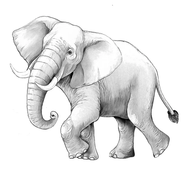 Rajzfilm Jelenet Nagy Elefánt Fehér Alapon Szafari Színező Oldal Vázlatfüzet — Stock Fotó