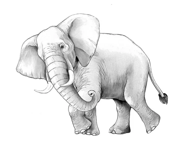 Scena Del Fumetto Con Grande Elefante Sfondo Bianco Safari Pagina — Foto Stock