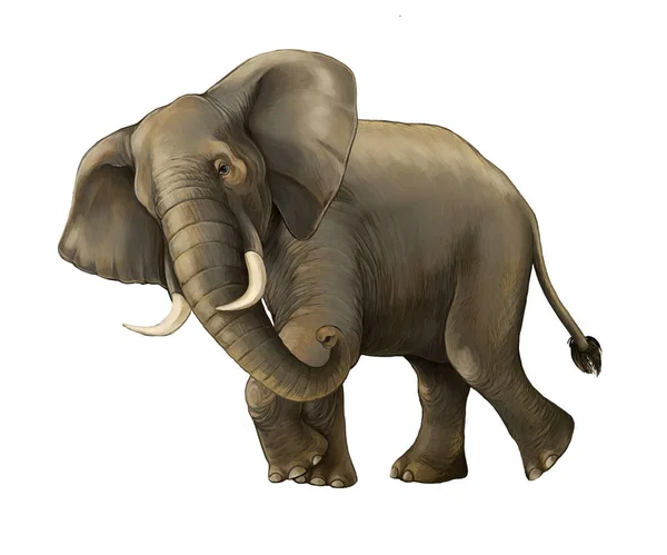 Cartoon Scene Met Grote Olifant Witte Achtergrond Safari Illustratie Voor — Stockfoto