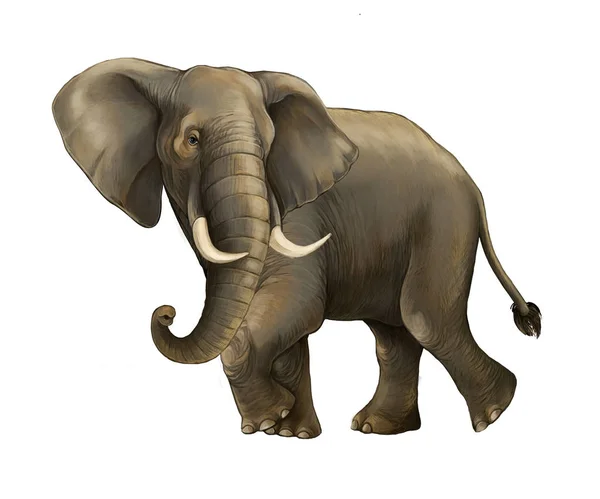Rajzfilm Jelenet Nagy Elefánt Fehér Háttérben Szafari Illusztráció Gyerekeknek — Stock Fotó