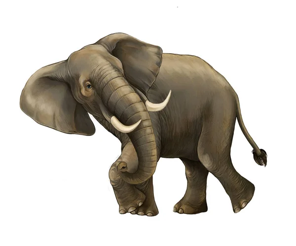 Cartoon Scene Big Elephant White Background Safari Illustration Children — Stock Photo, Image