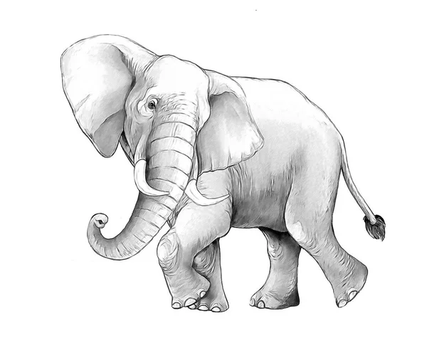 Cartoon Scene Big Elephant White Background Safari Coloring Page Sketchbook — Stock Photo, Image