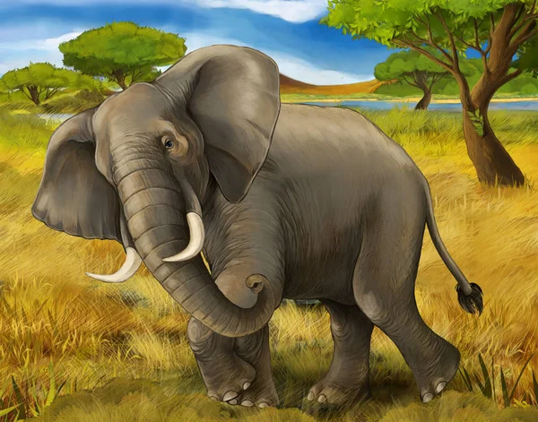 Çocuklar için fil Safari illüstrasyon karikatür sahne — Stok fotoğraf