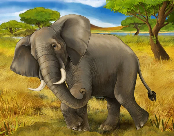 Escena de dibujos animados con elefante safari ilustración para niños — Foto de Stock