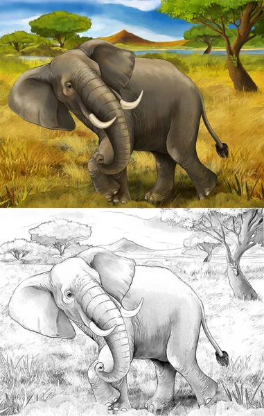 Kreslená scéna s sloní safari ilustrace pro děti — Stock fotografie
