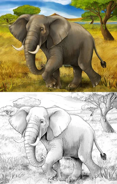 Tecknad scen med elefant Safari illustration för barn — Stockfoto