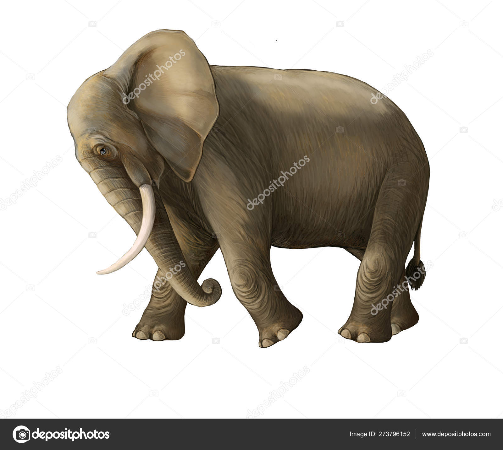 Cena dos desenhos animados com elefante grande no fundo branco safari  ilustração para crianças — Foto © illustrator_hft #273796152, image size:1600x1433