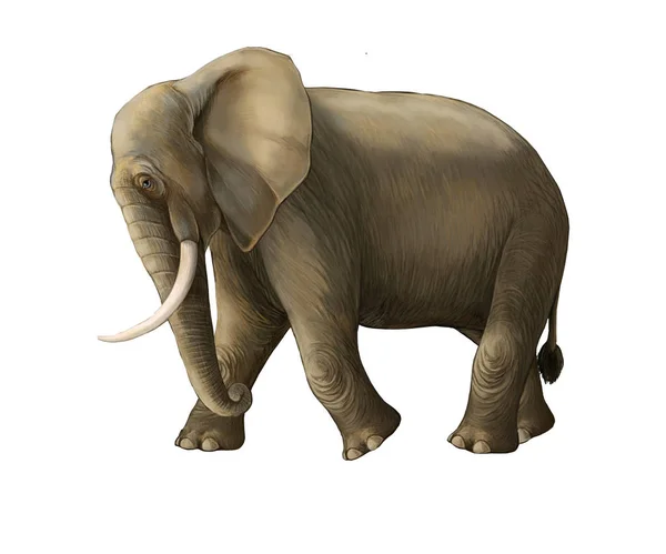 Tecknad scen med stor elefant på vit bakgrund Safari illustration för barn — Stockfoto