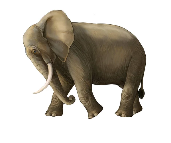 Kreslená scéna s velkým slonem na bílém pozadí safari ilustrace pro děti — Stock fotografie
