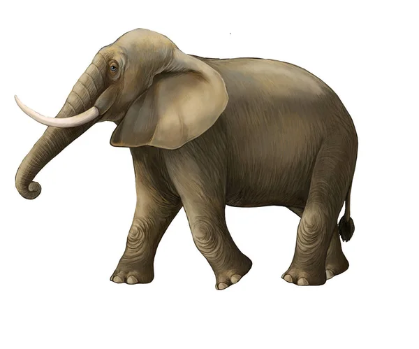 Tecknad scen med stor elefant på vit bakgrund Safari illustration för barn — Stockfoto