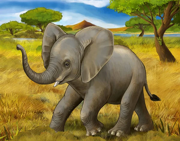 Karikatúra jelenet elefánt szafari illusztráció gyerekeknek — Stock Fotó