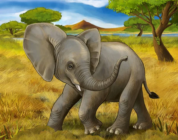 cartoon scene with elephant safari illustration for children