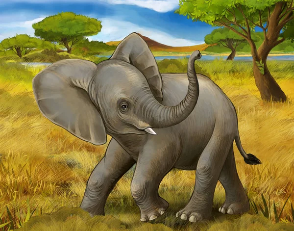 卡通场景与大象野生动物园插图为儿童 — 图库照片