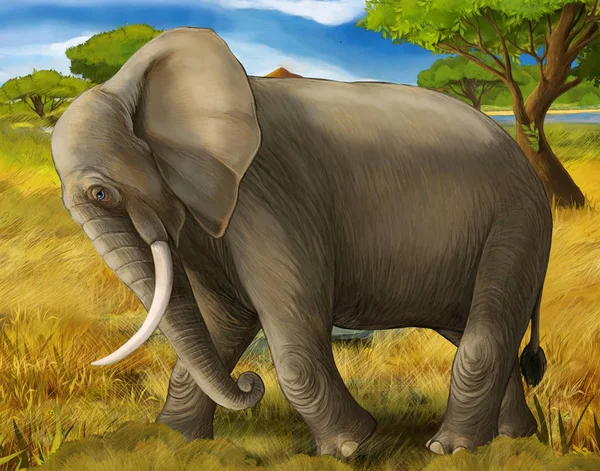 Kreslená scéna s sloní safari ilustrace pro děti — Stock fotografie