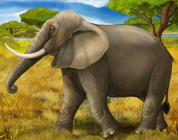 Tecknad scen med elefant Safari illustration för barn — Stockfoto