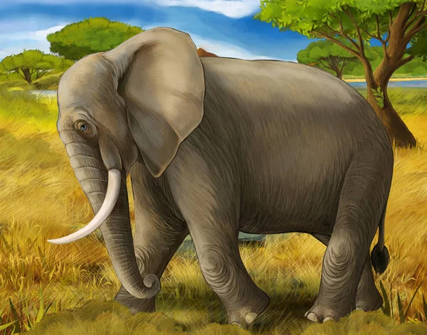 卡通场景与大象野生动物园插图为儿童 — 图库照片