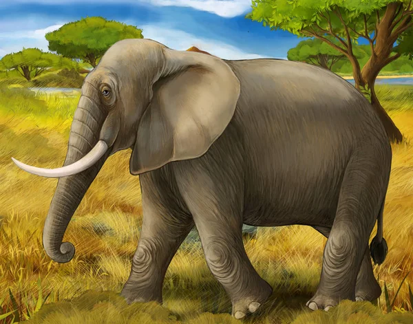Cena dos desenhos animados com elefante safari ilustração para crianças — Fotografia de Stock