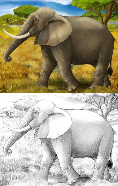 Мультяшна сцена зі слоном сафарі ілюстрація для дітей — стокове фото