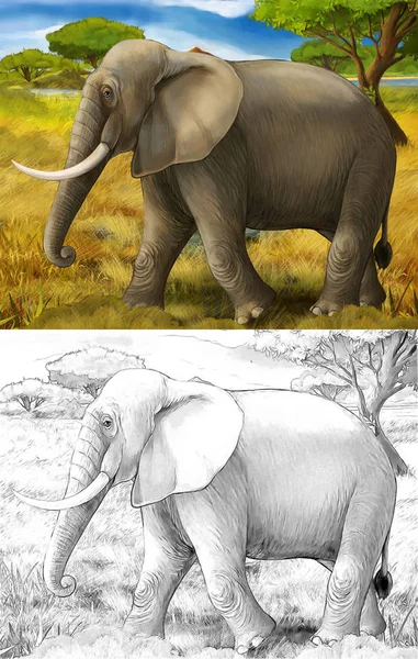 Scena z kreskówki z Safari na słoniach dla dzieci — Zdjęcie stockowe
